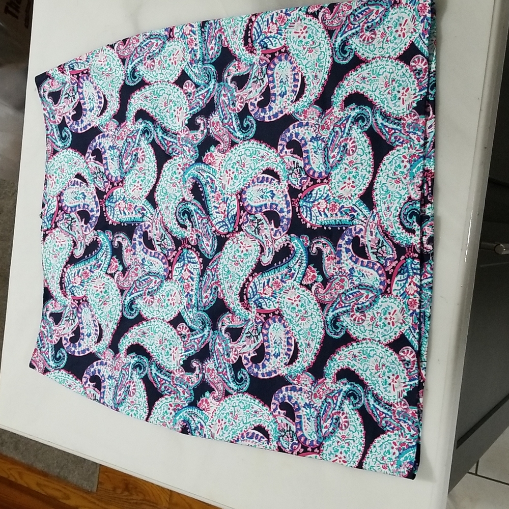 Talbots Skirt